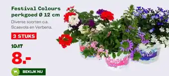Welkoop Festival Colours perkgoed aanbieding