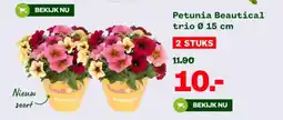 Welkoop Petunia Beautical trio aanbieding