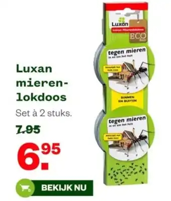 Welkoop Luxan mieren- lokdoos aanbieding
