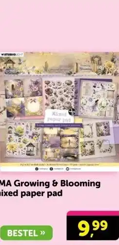 Boekenvoordeel JMA Growing & Blooming mixed paper pad aanbieding