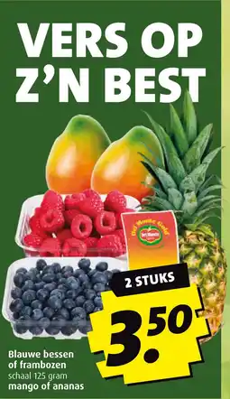 Boni Blauwe bessen of frambozen aanbieding