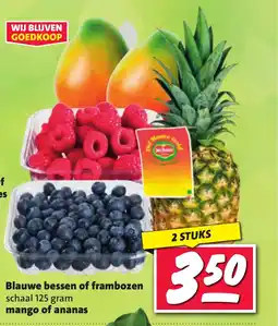 Nettorama Blauwe bessen of frambozen aanbieding