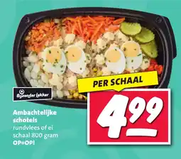 Nettorama Ambachtelijke schotels aanbieding