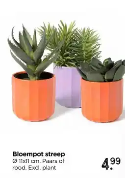 Xenos Bloempot streep aanbieding