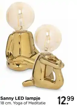 Xenos Sanny LED lampje aanbieding