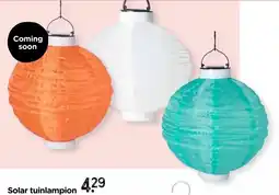 Xenos Solar tuinlampion - groen - ø25 cm aanbieding