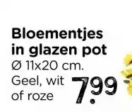 Xenos Kunstbloemen madeliefjes in glazen pot - geel - ø11.5x20 cm aanbieding