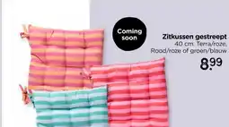 Xenos Zitkussen gestreept aanbieding