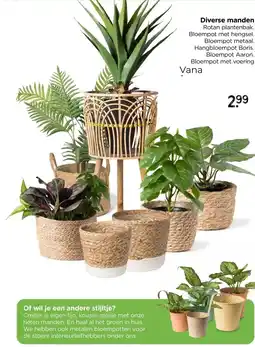 Xenos Diverse manden aanbieding