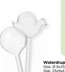 Xenos Waterdruppelaars aanbieding