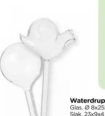 Xenos Waterdruppelaars aanbieding