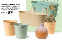 Xenos Diverse potten en vazen aanbieding