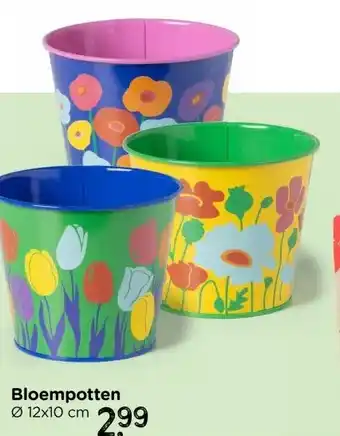 Xenos Bloempotten aanbieding