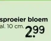 Xenos Tuinsproeier - ø33x10x9.5 cm - diverse varianten aanbieding
