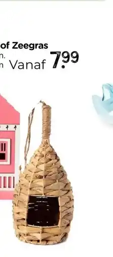 Xenos Vogelhuis Flamingo of Zeegras aanbieding
