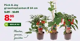 Welkoop Pick & Joy groenteplanten Ø 14 cm aanbieding