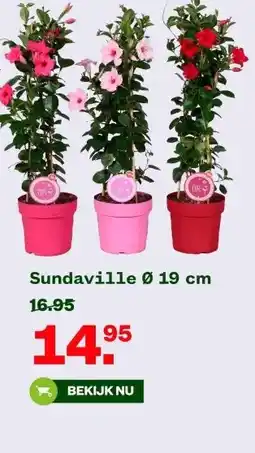 Welkoop Sundaville Ø 19 cm aanbieding