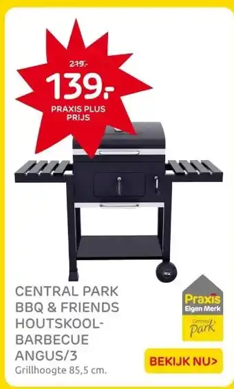 Praxis CENTRAL PARK BBQ & FRIENDS HOUTSKOOL- BARBECUE ANGUS/3 aanbieding