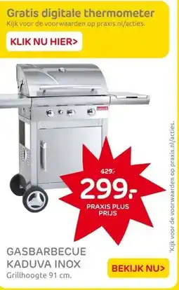 Praxis GASBARBECUE KADUVA INOX aanbieding