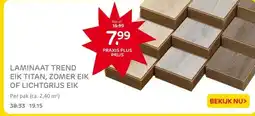 Praxis LAMINAAT TREND EIK TITAN, ZOMER EIK OF LICHTGRIJS EIK aanbieding