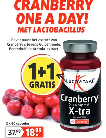 Lucovitaal CRANBERRY aanbieding