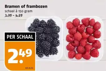 Poiesz Bramen of frambozen aanbieding