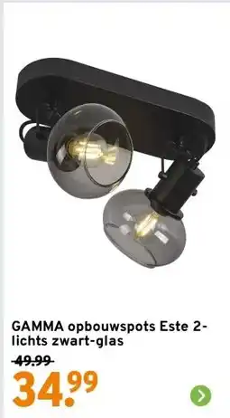GAMMA GAMMA opbouwspots Este 2-lichts zwart-glas aanbieding