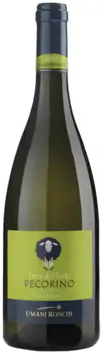 Gall & Gall Umani Ronchi Pecorino Vellodoro 75CL Wijn aanbieding