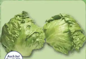 Combi Deutscher Eisbergsalat aanbieding