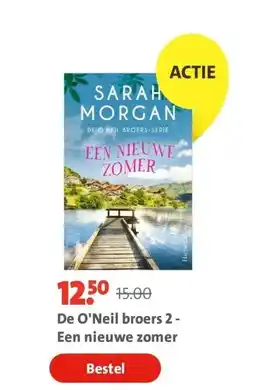Bruna De O'Neil broers 2 - Een nieuwe zomer aanbieding