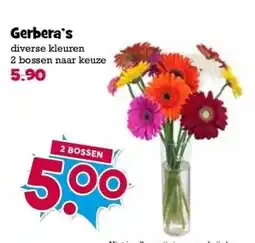 Boon`s Markt Gerbera's aanbieding