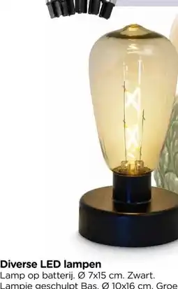 Xenos Diverse LED lampen aanbieding