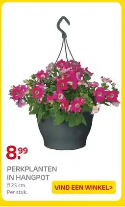 Praxis PERKPLANTEN IN HANGPOT aanbieding