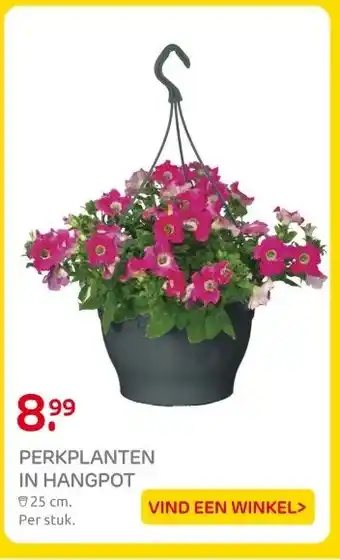 Praxis PERKPLANTEN IN HANGPOT aanbieding