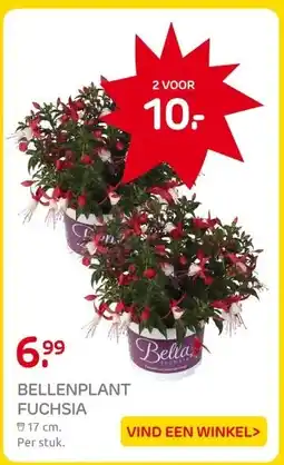 Praxis BELLENPLANT FUCHSIA aanbieding