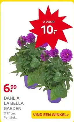 Praxis DAHLIA LA BELLA GARDEN aanbieding