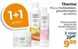 Trekpleister Therme aanbieding