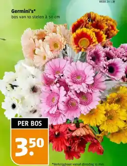 Poiesz Germini's aanbieding