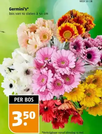 Poiesz Germini's aanbieding