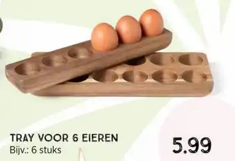 Xenos Tray voor 6 eieren aanbieding