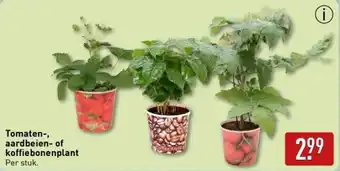 ALDI Tomaten, aardbeien of koffiebonenplant aanbieding