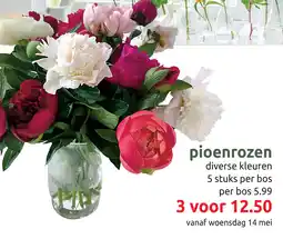 Deka Tuin Pioenrozen aanbieding