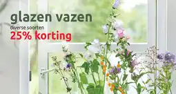Deka Tuin Glazen vazen aanbieding
