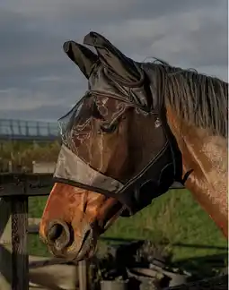 Deka Tuin Harry's Horse vliegenfrontriem aanbieding