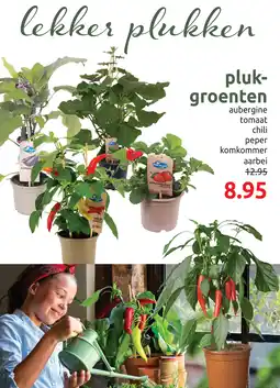 Deka Tuin Plukgroenten aanbieding