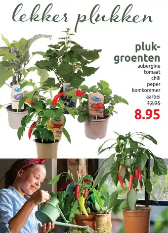 Deka Tuin Plukgroenten aanbieding