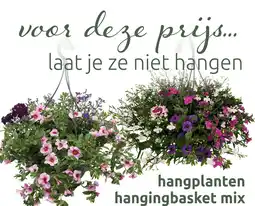 Deka Tuin Hangplanten hangingbasket mix aanbieding