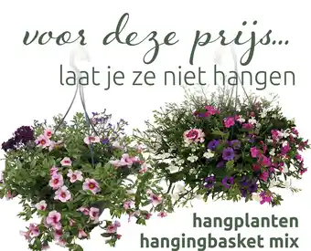 Deka Tuin Hangplanten hangingbasket mix aanbieding