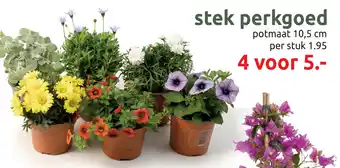Deka Tuin Stek perkgoed aanbieding