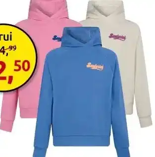 Tuunte Trui aanbieding
